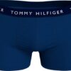 Boxer Tommy Hilfiger organic cotton σετ 3 UMOUMO2203 OV4