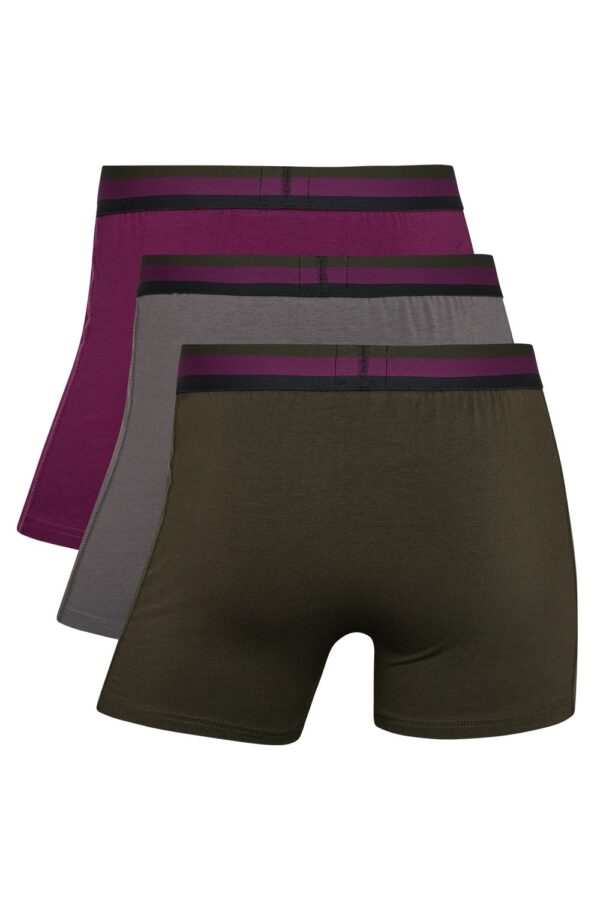 Ανδρικά boxer Cristiano Ronaldo cotton classic style 300-8100-49-695