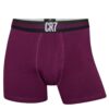 Ανδρικά boxer Cristiano Ronaldo cotton classic style 300-8100-49-695
