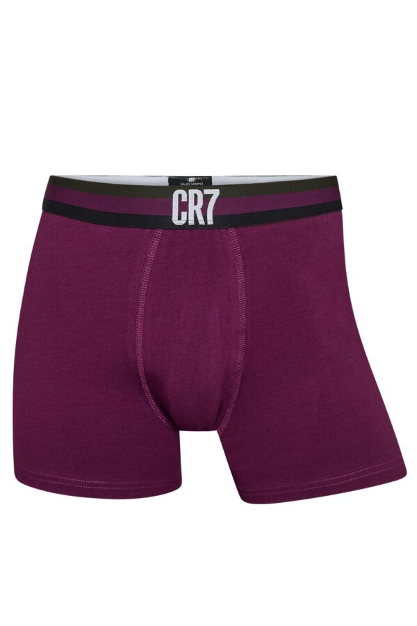 Ανδρικά boxer Cristiano Ronaldo cotton classic style 300-8100-49-695